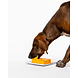 Pawzler Piper level 3 is een interactieve hondenpuzzel(element) voor honden met puzzelervaring die van een uitdaging houden. Pawzler Piper level 3 is een interactieve hondenpuzzel(element) voor honden met puzzelervaring die van een uitdaging houden.