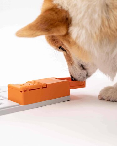 Pawzler Maya level 3 is een interactieve hondenpuzzel(element) voor honden met puzzelervaring die van een uitdaging houden. Pawzler Maya level 3 is een interactieve hondenpuzzel(element) voor honden met puzzelervaring die van een uitdaging houden.