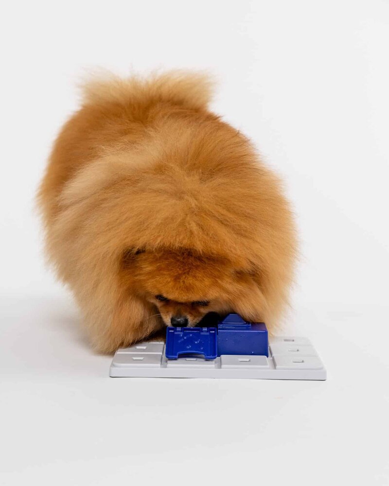 Pawzler Sela level 3 is een interactieve hondenpuzzel(element) voor honden met puzzelervaring die van een uitdaging houden. Pawzler Sela level 3 is een interactieve hondenpuzzel(element) voor honden met puzzelervaring die van een uitdaging houden.