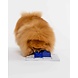 Pawzler Sela level 3 is een interactieve hondenpuzzel(element) voor honden met puzzelervaring die van een uitdaging houden. Pawzler Sela level 3 is een interactieve hondenpuzzel(element) voor honden met puzzelervaring die van een uitdaging houden.