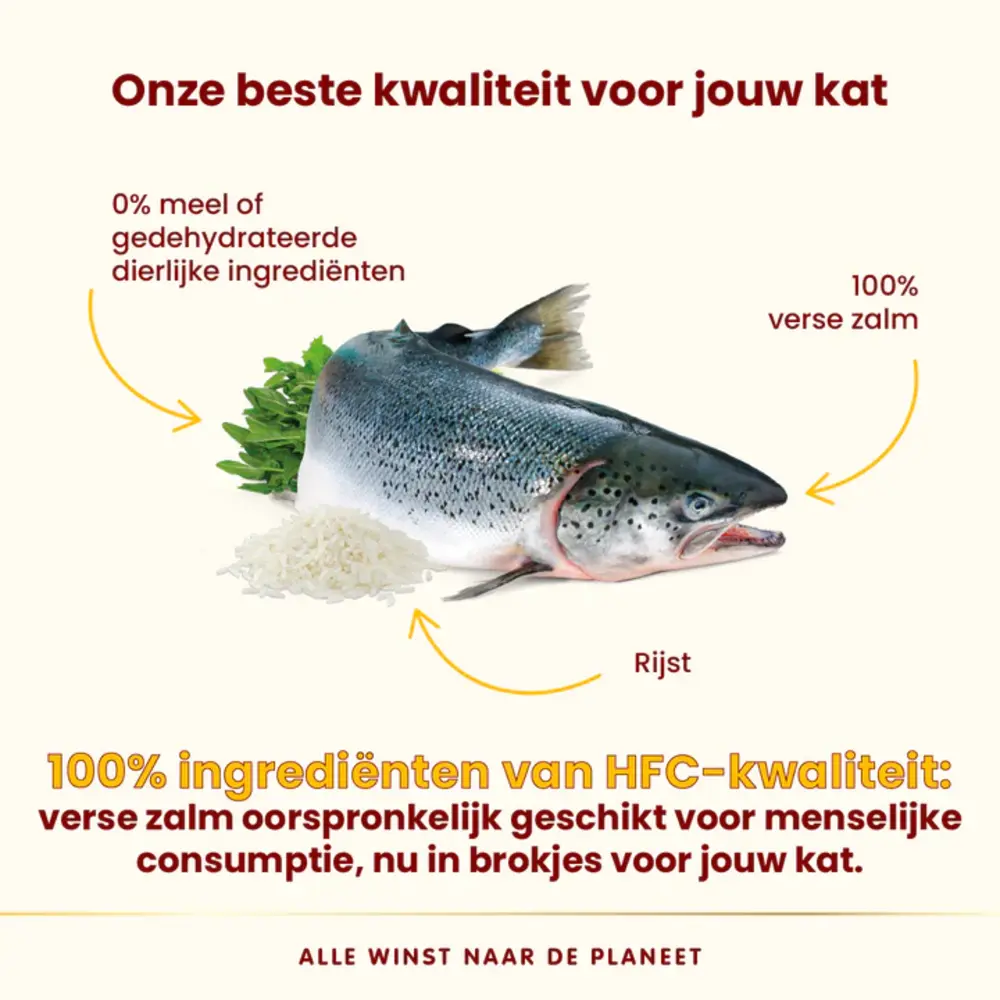 Almo Nature Highly Appetizing cat  HFC met zalm