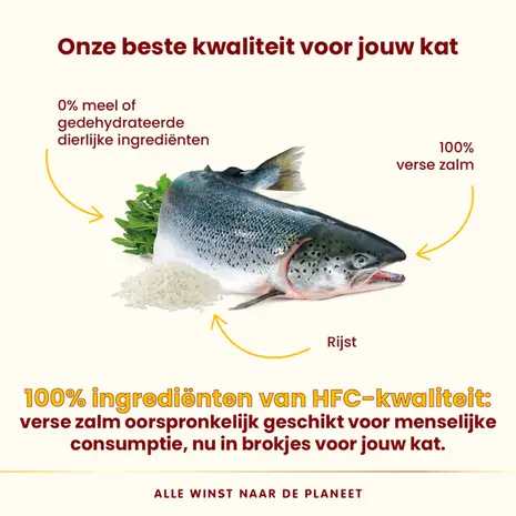 Almo Nature Highly Appetizing cat  HFC met zalm