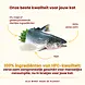 Almo Nature Highly Appetizing cat  HFC met zalm