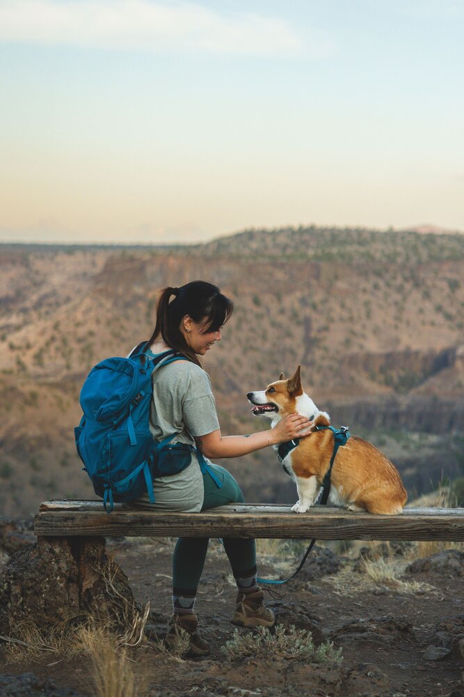 RUFFWEAR Front Range Flex een zacht en zeer comfortabel hondenharnas. RUFFWEAR Front Range Flex een zacht en zeer comfortabel hondenharnas.