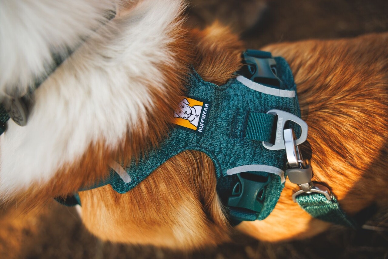 RUFFWEAR Front Range Flex een zacht en zeer comfortabel hondenharnas. RUFFWEAR Front Range Flex een zacht en zeer comfortabel hondenharnas.