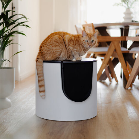 District 70 Fuse design ruime kattenbak District 70 Fuse design ruime kattenbak