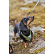 Hurtta Seeker Forest Harness , een comfortabel lichtgewicht harnas voor kleine tot middelgrote honden