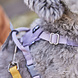 Hurtta Seeker Lavender Harness, een comfortabel lichtgewicht harnas voor kleine tot middelgrote honden