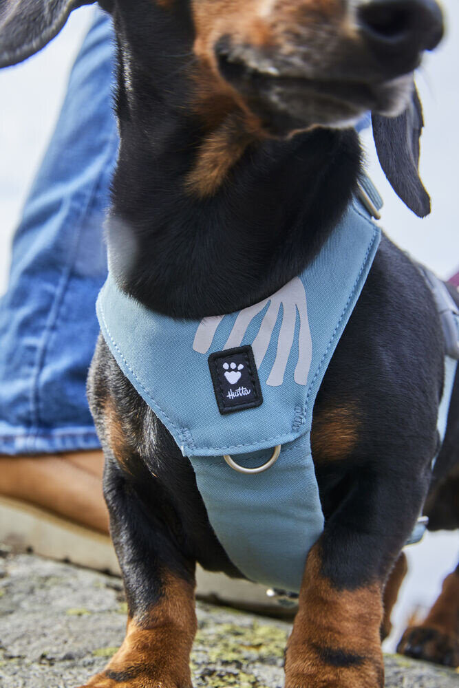 Hurtta Seeker Stream Harness, een comfortabel lichtgewicht harnas voor kleine tot middelgrote honden