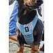 Hurtta Seeker Stream Harness, een comfortabel lichtgewicht harnas voor kleine tot middelgrote honden