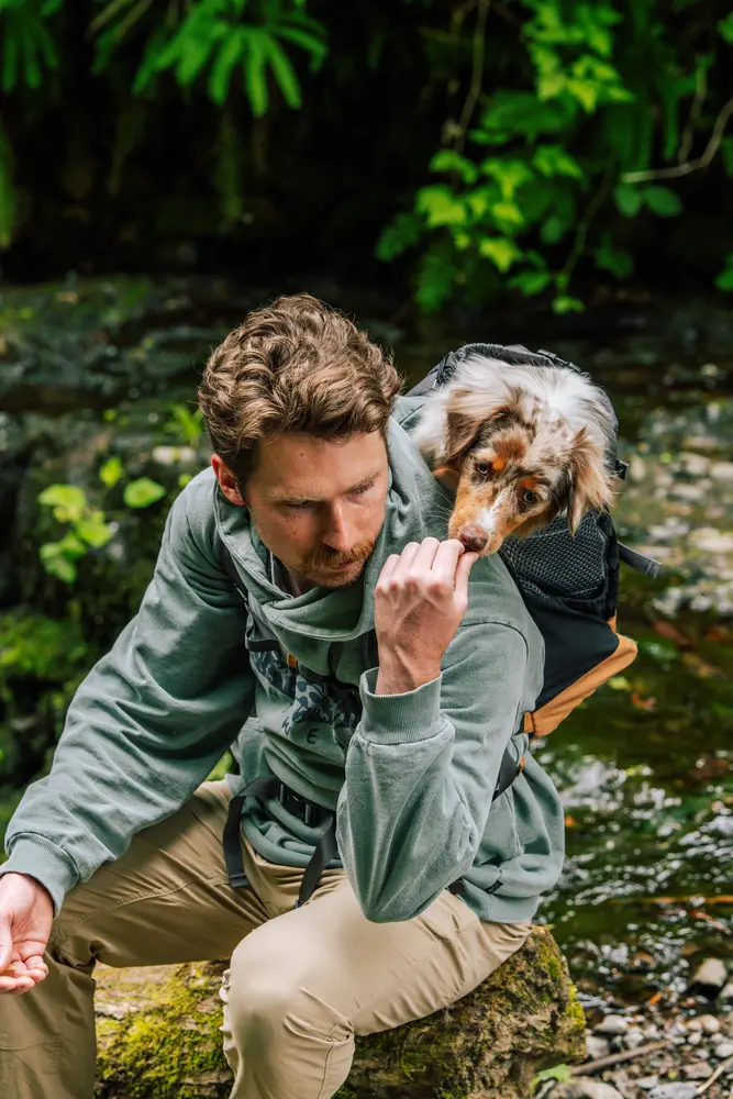 K9 Sport Sack Kompanion Magnet Gray het nieuwe premium model binnen het assortiment van K9 Sport Sack en vervangt de PLUS2.