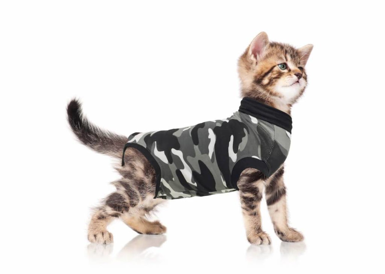 Suitical Beschermend shirt bij wonden en plekken voor katten Suitical Beschermend shirt bij wonden en plekken voor katten