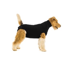 Suitical Recovery Suit Dog Suitical Recovery Suit Dog