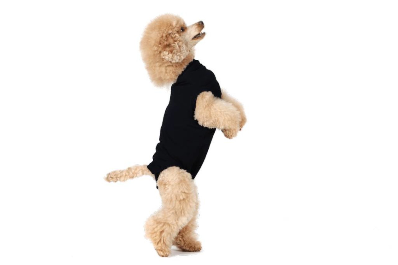 Suitical Beschermend shirt bij wonden en plekken voor honden Suitical Beschermend shirt bij wonden en plekken voor honden