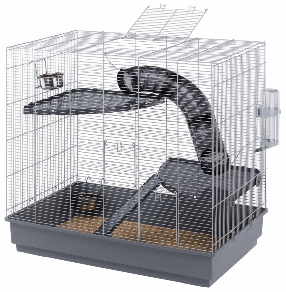Huh Opiaat punt Rattenverblijf voor ratten die de ruimte willen - dierportiek