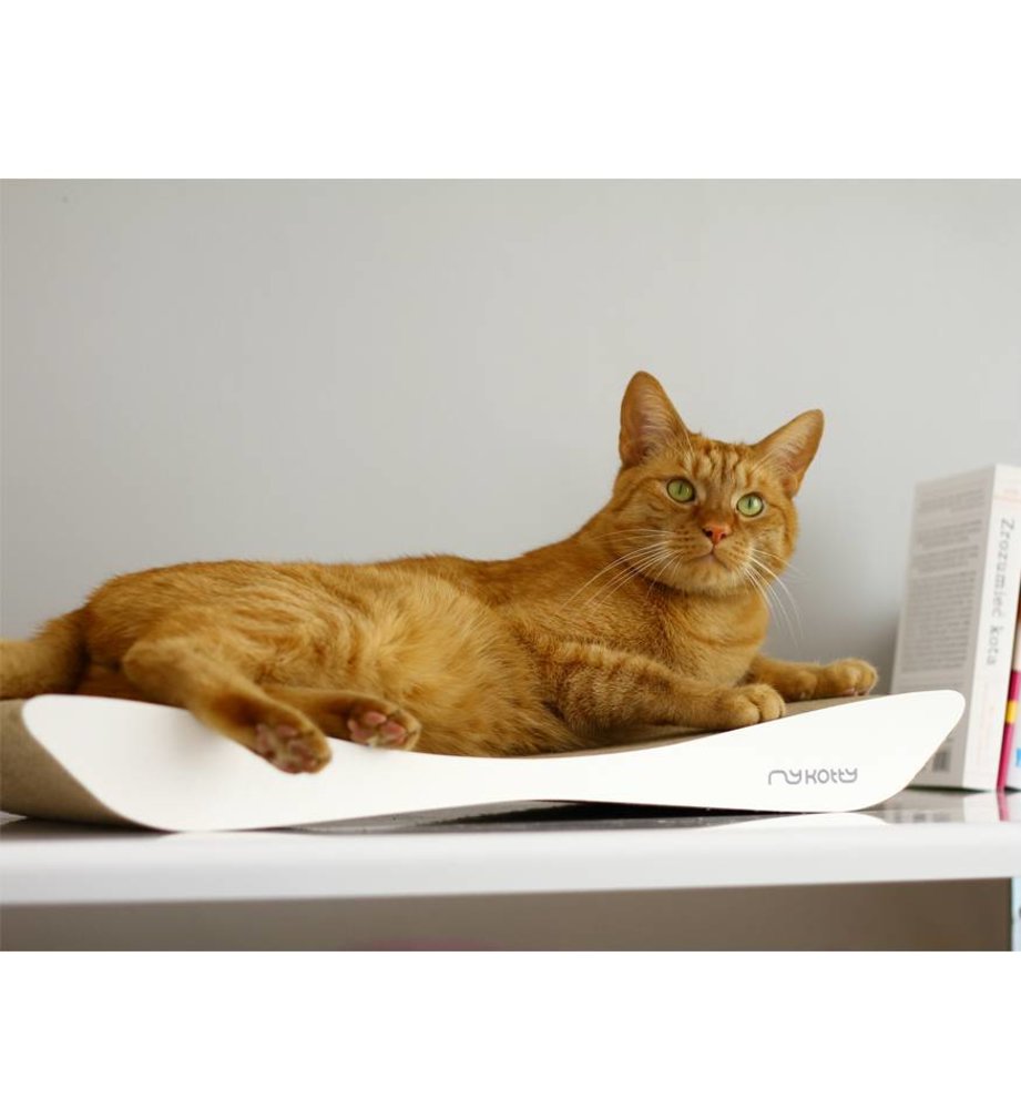 MyKotty MyKotty Tobi