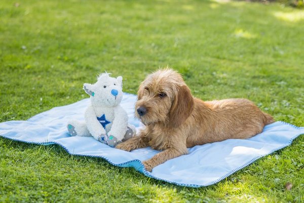 Lief Lief Giftset voor pups Lief Lief Giftset voor pups