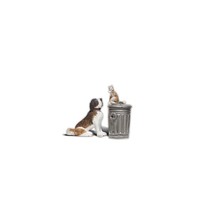 Spur G Hund und Katze auf Mülltonne