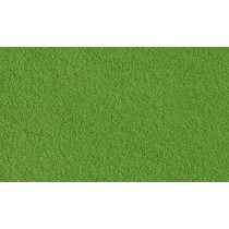 Feiner Rasen  - Grün (Beutel)