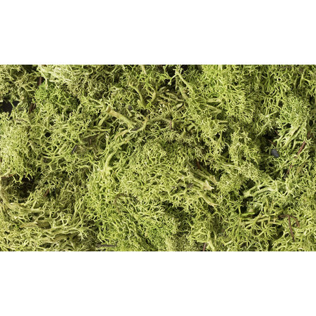 Woodland Scenics Flechten (Lichen) - Hellgrün