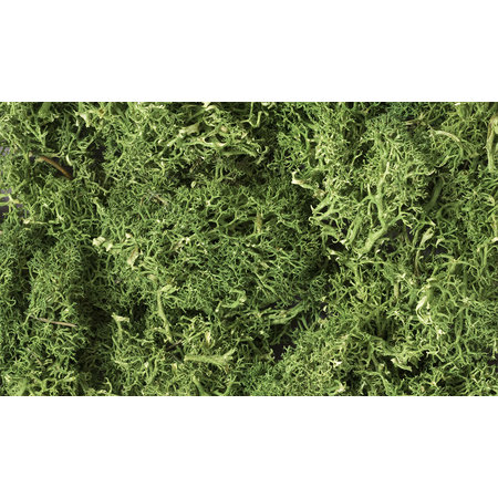 Woodland Scenics Flechten (Lichen) - Mittelgrün