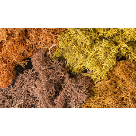 Woodland Scenics Flechten (Lichen) - Herbstmischung