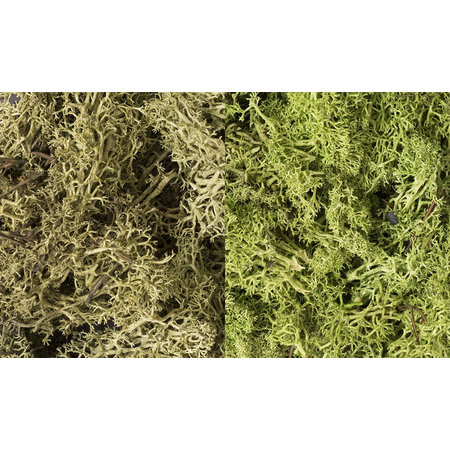 Woodland Scenics Flechten (Lichen) - Hellgrün Mischung