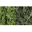 Woodland Scenics Flechten (Lichen) - Dunkelgrün Mischung