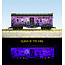 USA TRAINS Neuheit 2022 Halloween Bunk Car Glow in the Dark