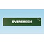 USA TRAINS Evergreen 45' Container