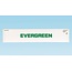 USA TRAINS Evergreen 48' Container