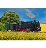 LGB DR Dampflok 99 1757-6