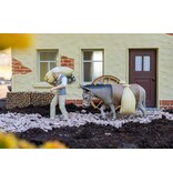 POLA Müller mit Esel