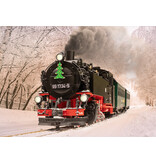 LGB DR Dampflok 99 1734-5 SDG