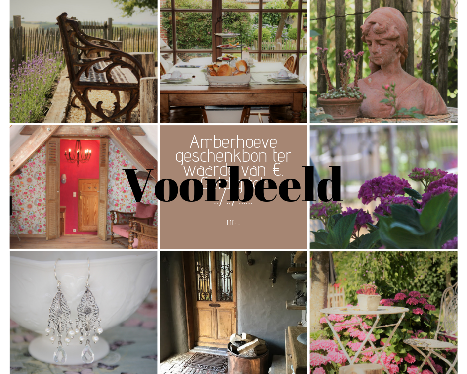 Algemene bon Amberhoeve