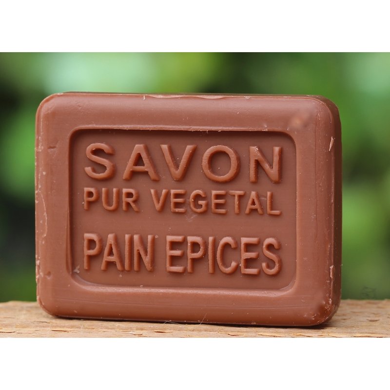 Doosje gastenzeepje kerstman in bad