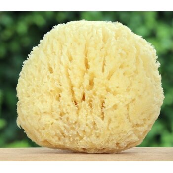 Lumière de Provence Natuurspons