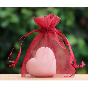 Lumière de Provence Organzazakje bordeaux