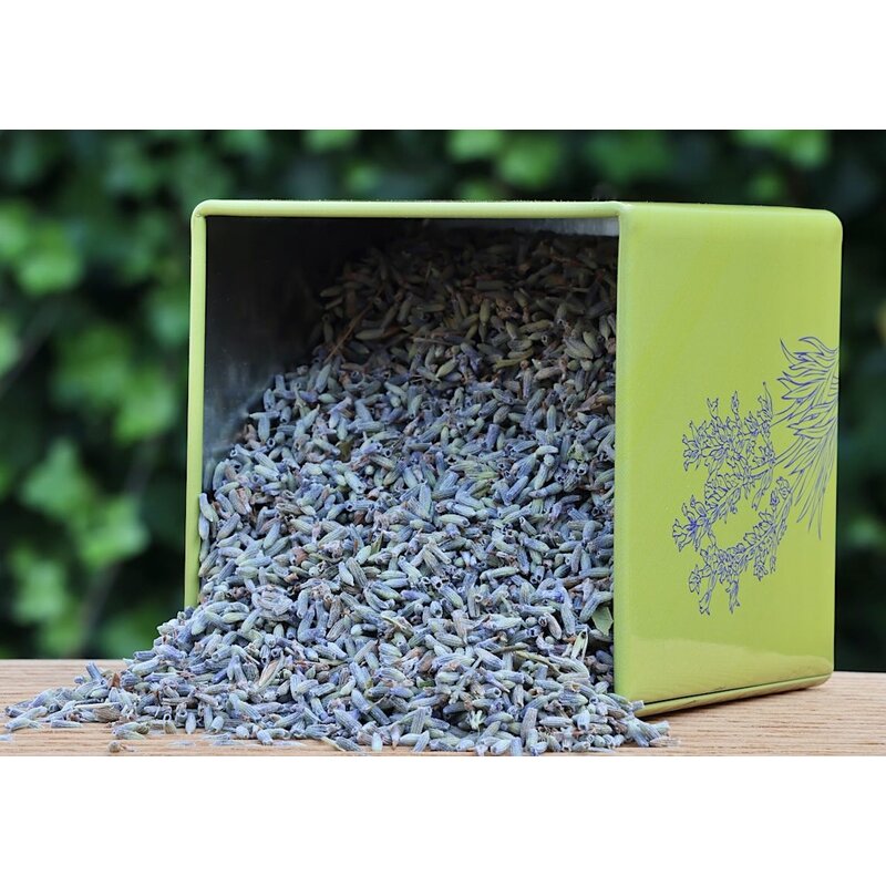 Blikje met losse lavendel