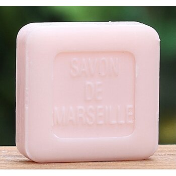 Lumière de Provence Gastenzeepje rozen