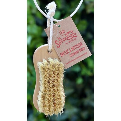 Schoonmaakborstel klein