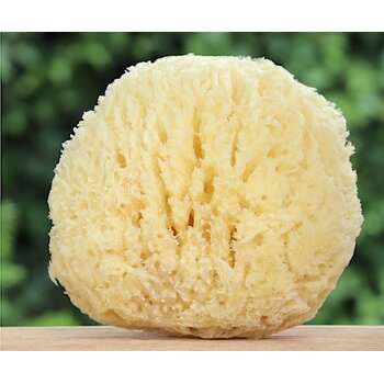 Lumière de Provence Natuurspons