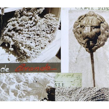 Lumière de Provence Ansichtkaart Lavendel