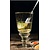 Glas Absinth van LaRochere