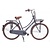 Vogue omafiets 26 inch Elite Patrol Gray with gears
