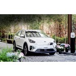 Laadkabels voor de Kia e-Niro (let op: modellen tot 2020)