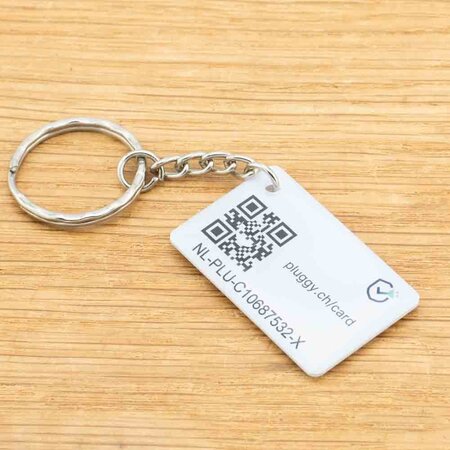 Plugchoice RFID Tag/ Sleutelhanger