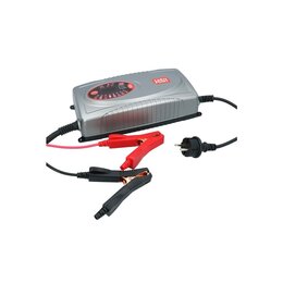 Carpoint druppellader 12V/24V 25A