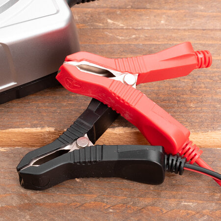 Carpoint druppellader 12V/24V 7,5A