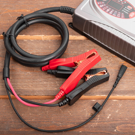 Carpoint druppellader 12V/24V 25A